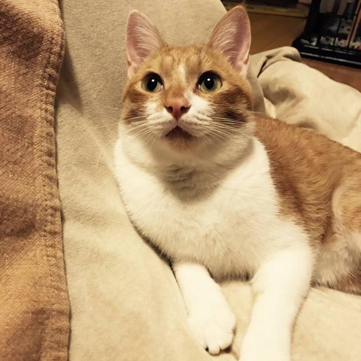 32df63c6 849f 4020 978e 18ba038b3786