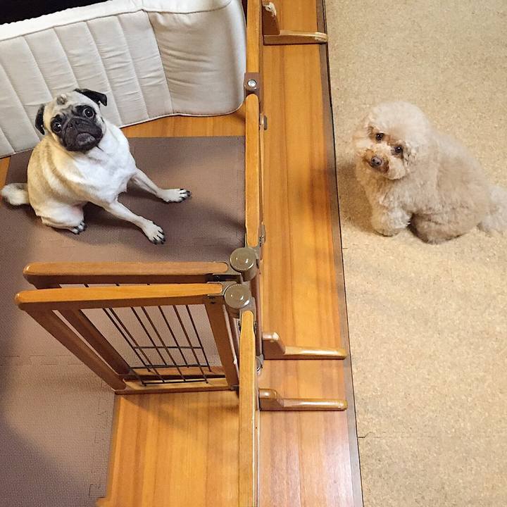 32e099d7 a342 471b 82aa 1746fbe046c1