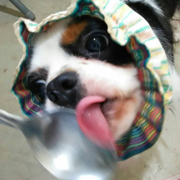 32e1175c 085b 4009 8845 13c5f13522ab