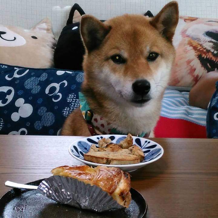 32e123e7 ae3a 4eb4 bf19 096024e9cf58