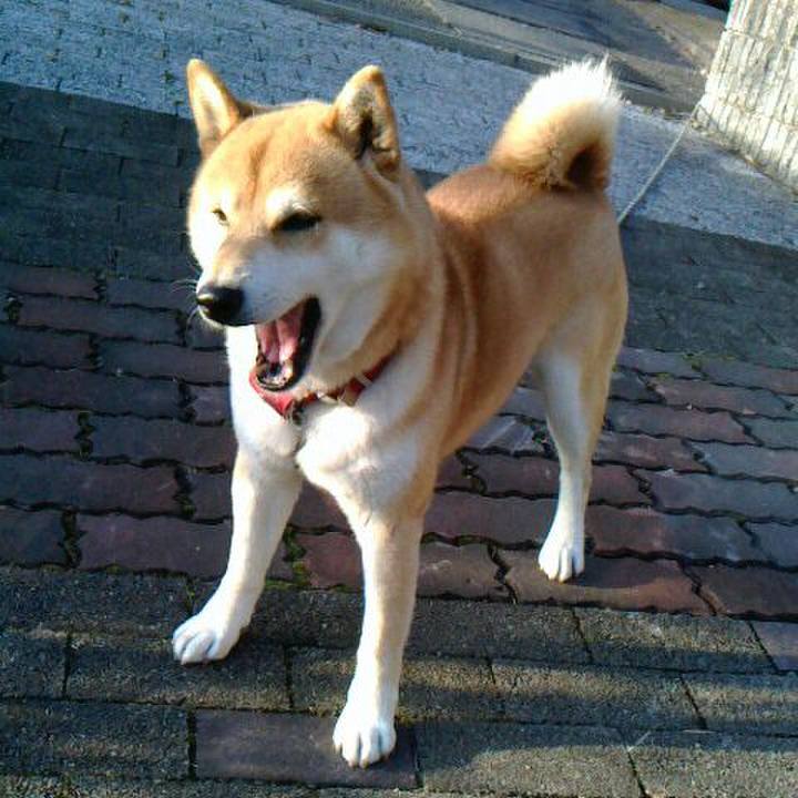 32e1d2f1 c25d 409a 8c3c f6e599a84a52