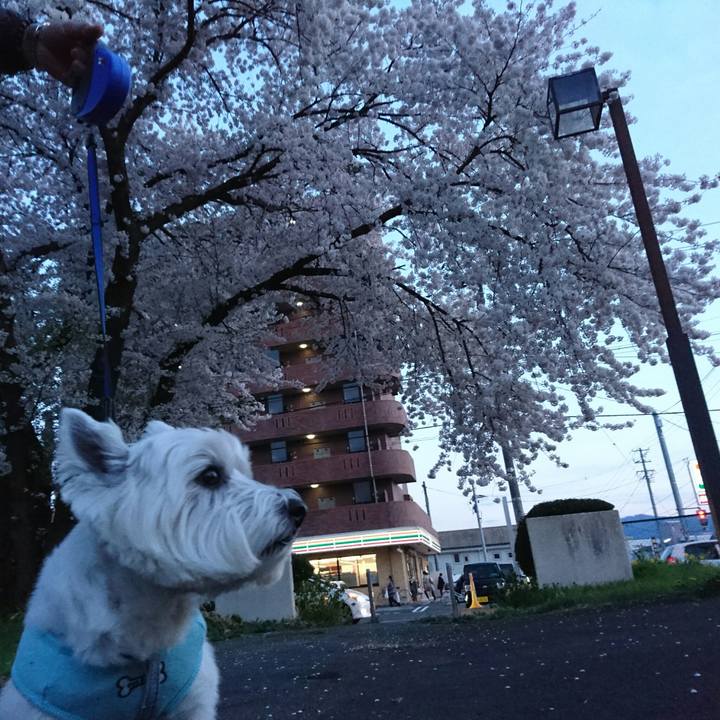 32e21ccd 3457 420a b756 4a3652d1a6c0