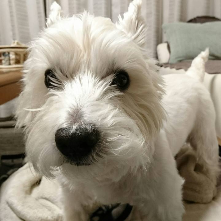 32e2b740 1335 42a6 9fac 39db3c0921ab