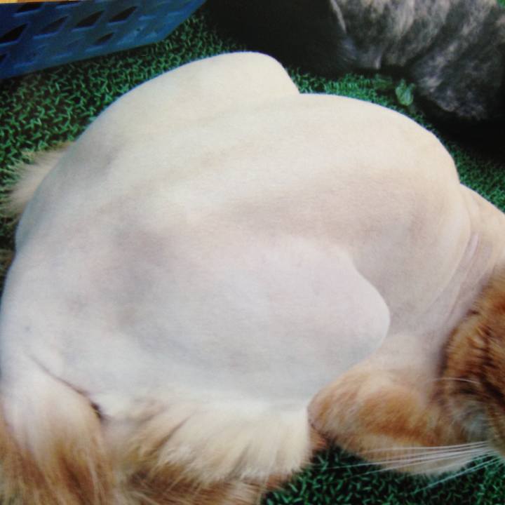 32e315d6 97a5 4bda a46f c7337bdbefa5