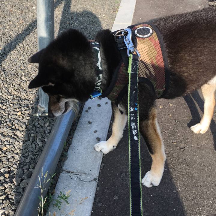 32e3607e a1fe 4609 bca5 e6850e2f94ce