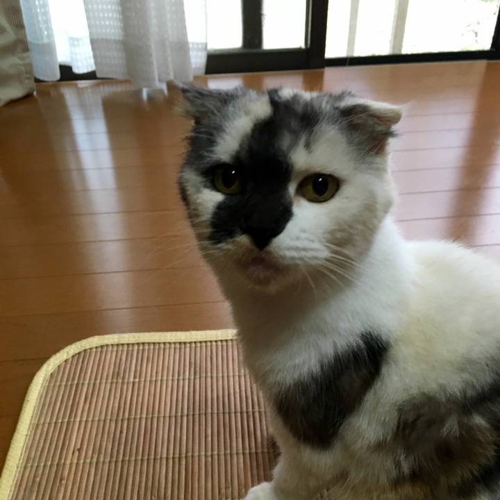 32e3b54e b3e3 4c14 920f 35f7c06b2a7d