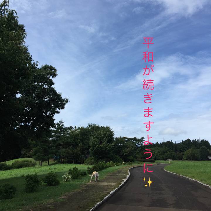 32e3ba85 eb97 4aa4 b086 4355a7484b73