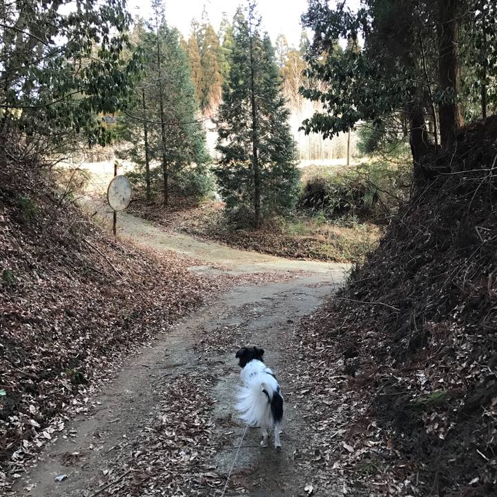 32e3d51c 94e2 4228 a981 3047afc7c55e