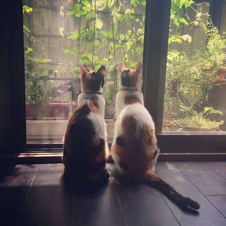 32e41a87 4829 4218 8638 7fc97246c149