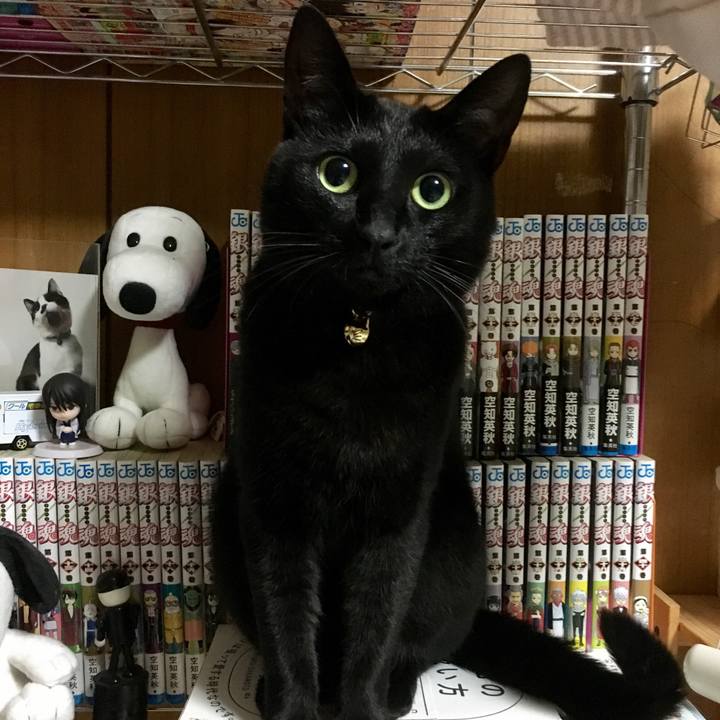 32e46226 9345 4f6b 9360 00aa1bc88231