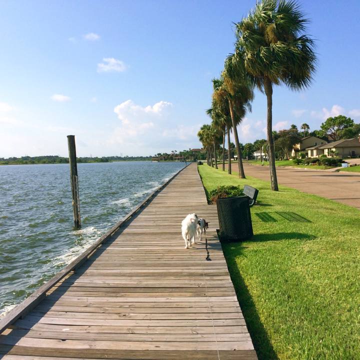 32e49b3a 07ef 4985 a19c f3660af4a3be