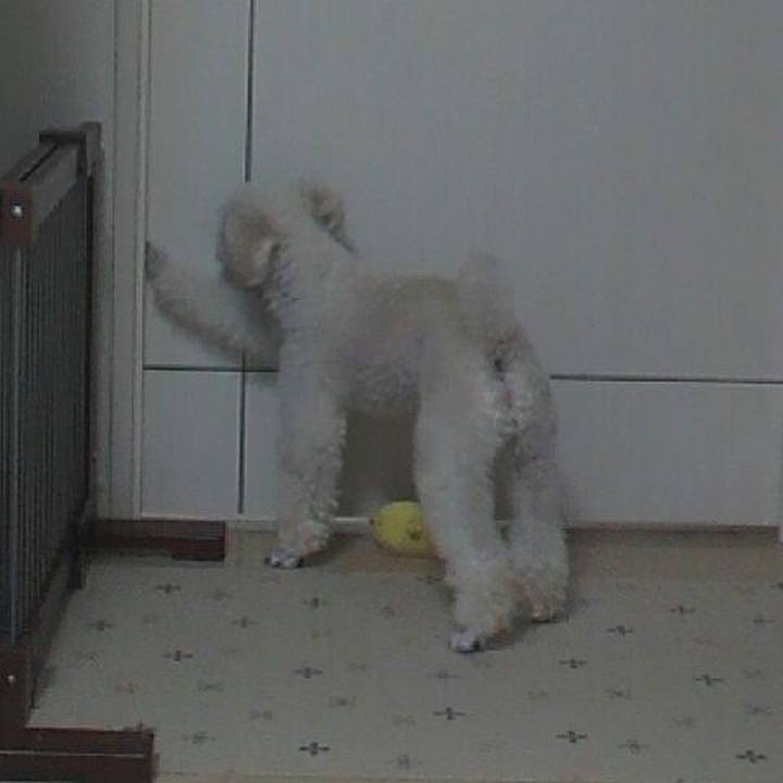 32e6f658 d4b4 41b7 9825 700d82049345