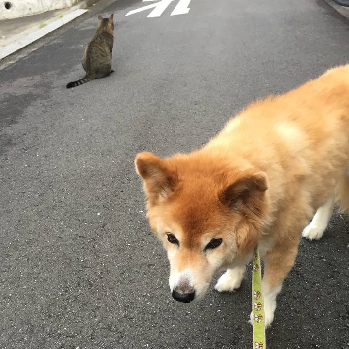 32e6fce3 9cf0 4667 8fd0 ee0e68270c5e