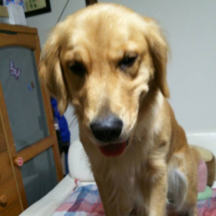 32e73fd4 d1b8 40f3 99bd 950eb3091957