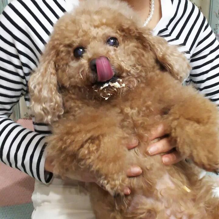 32e77dad 6fb1 45c0 b405 5e3212d0f342