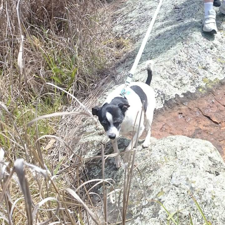 32e7ac00 79b9 47b4 ab45 6415f97a3f38