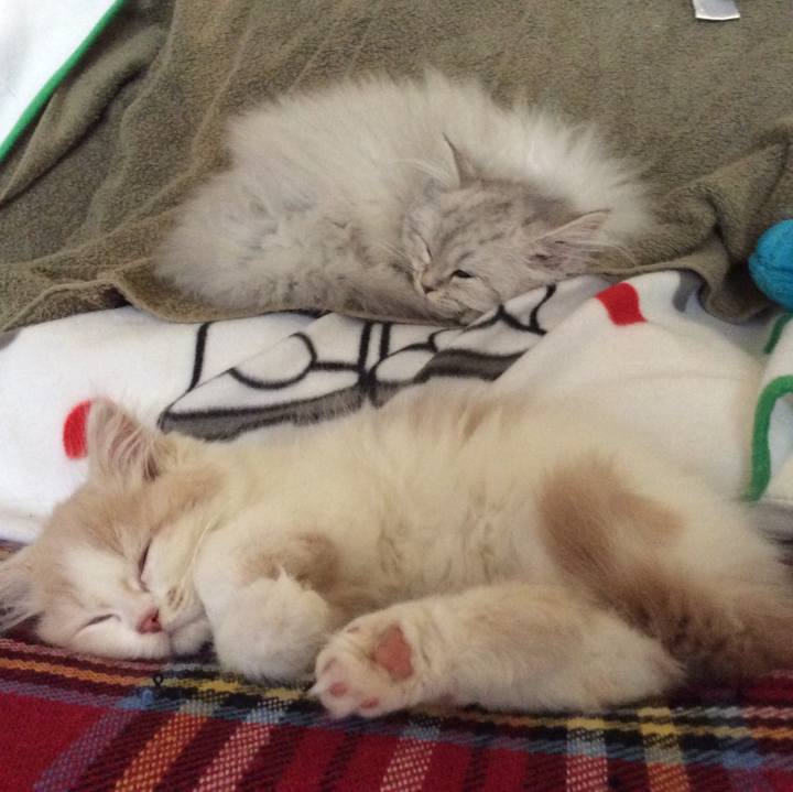 32e7d647 a4d7 499f a1d7 9a1e9efdf688