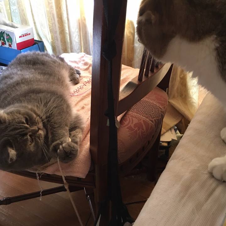 32e82e55 4ab4 42e7 9eb9 a1fecdf02cbb