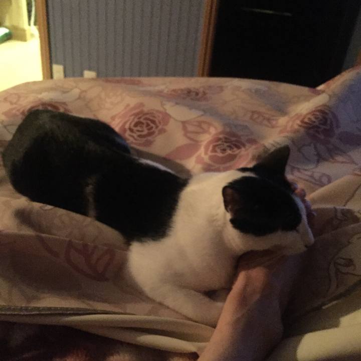 32e85e96 6bd5 4655 a189 ae8b4b4f6ff6