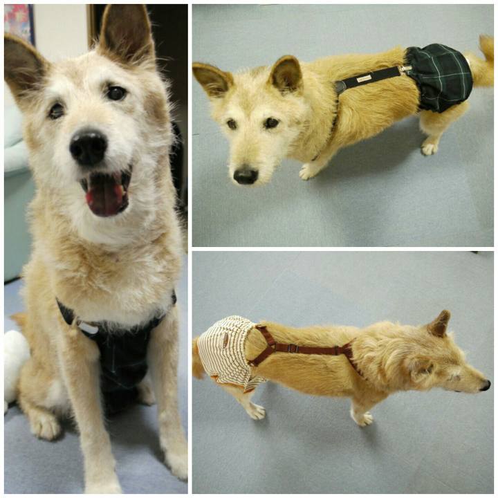 32e91985 36e3 4975 96d0 9a3a8b258db4