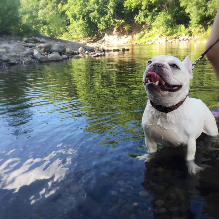 32e92427 69ba 438a b382 f3b6ec0aa571