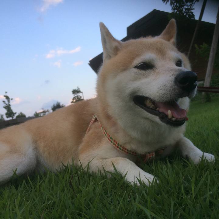 32e95cf3 c440 495c 85a2 e25a23ed6ee1