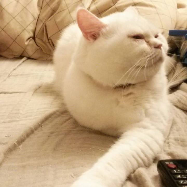 32e981ce 1442 4594 8539 371f66d39e65