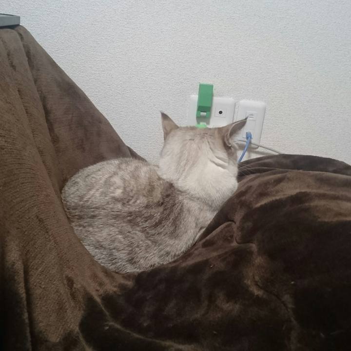 32e99f90 7303 4c9b 921b 3f3f40642ab2