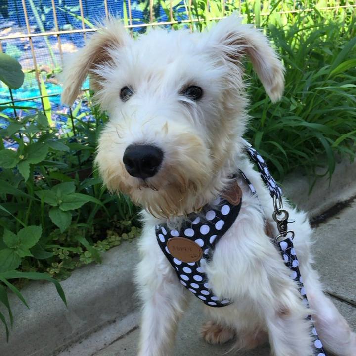 32e9e1b2 5038 4e1d 8095 f20d47510e41