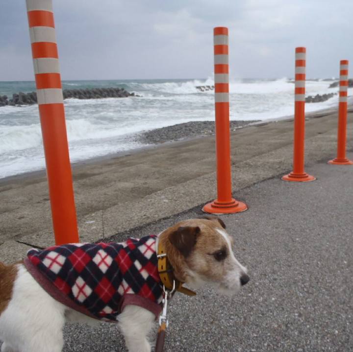 32ea26d1 66eb 43f6 a859 ed11a0d4fb4e