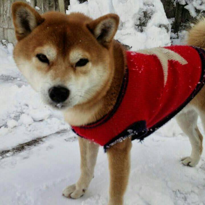 32ea3b2f 1aa1 4b21 8d21 a594ba42da08