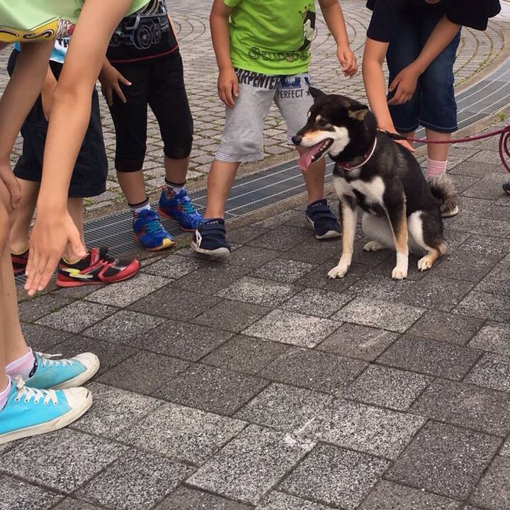 32ea9298 904a 4668 a077 cab2c1f07033