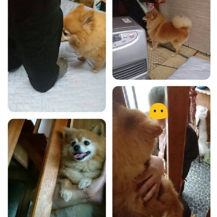 32ea9c8a b848 47be a865 29333fdea361