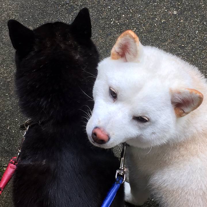 32eacbf7 0e85 423f 8527 3396c8ba725e