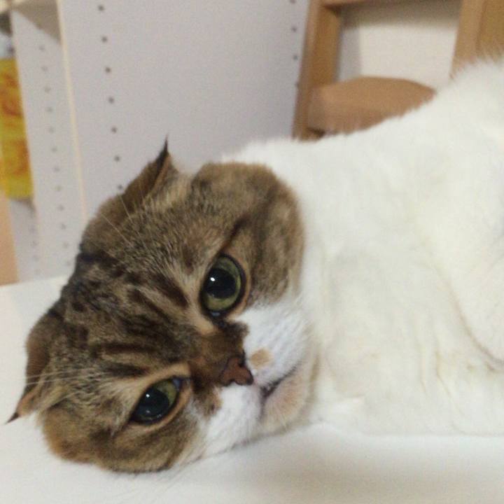 32eb1796 8c75 4654 8b16 760fe55ea2e6