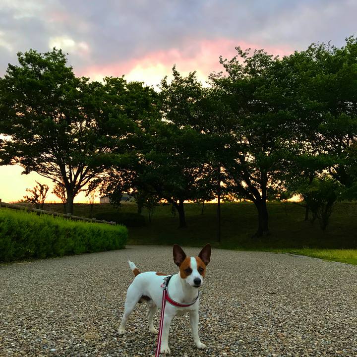 32eb6293 c51b 4a70 a815 c36dace27e68