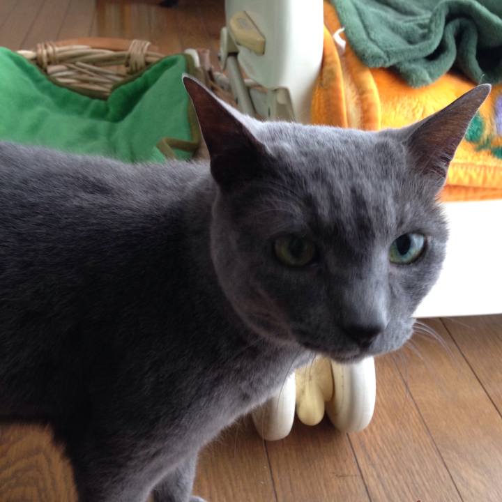 32eb7ec4 c8c8 434f bfba 09a9d16be33a