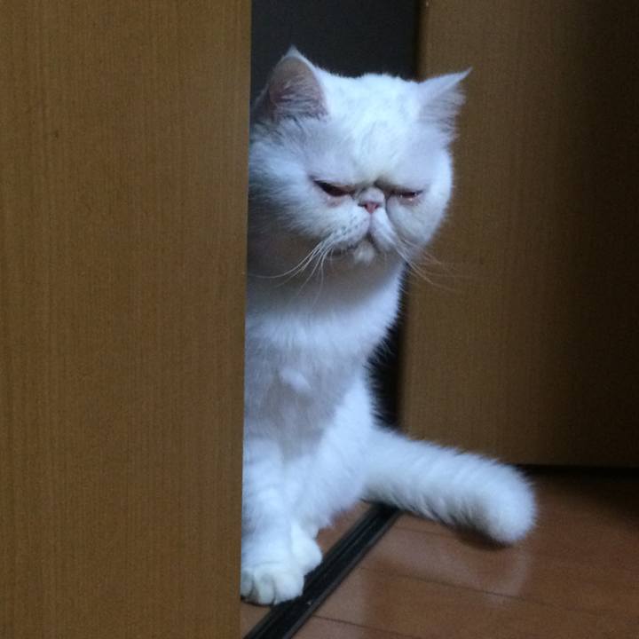 32ebe771 2003 4c28 9954 28ff3f7f5737