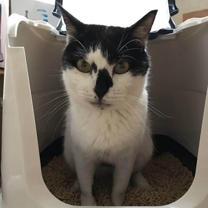 32ec2421 329a 4aed 8b9d 53648bbead09