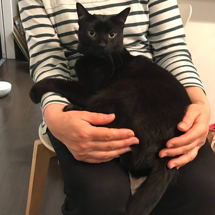 32ed0125 e195 4743 a56c 17a3b3e9ed6b