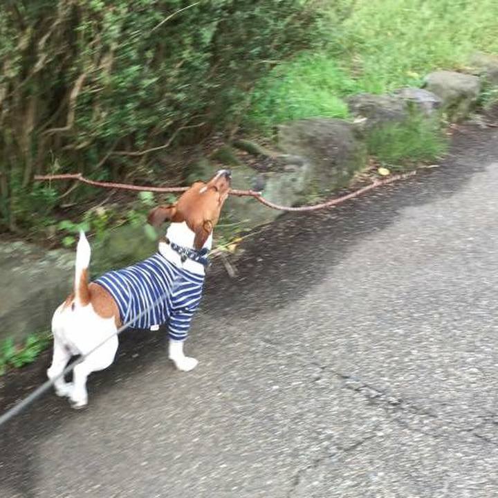 32ed8a26 f4b9 40d3 97bc aed44a9e42a0