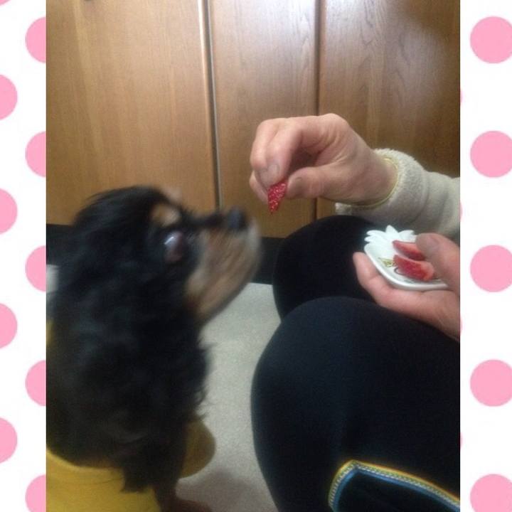 32ed9994 c002 4b4a 99eb 04972235673e