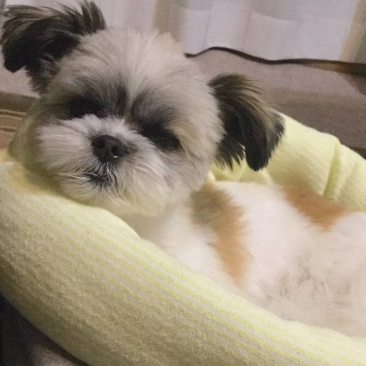 32ef13ac b105 46e0 9696 d4cc5830c0a8