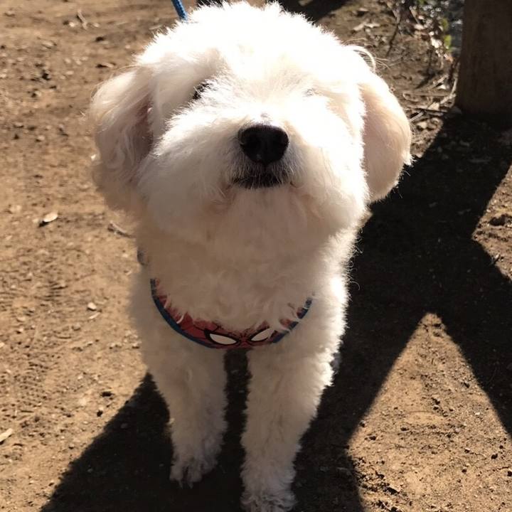 32ef2016 2b36 44d8 9201 7670ba93db6b