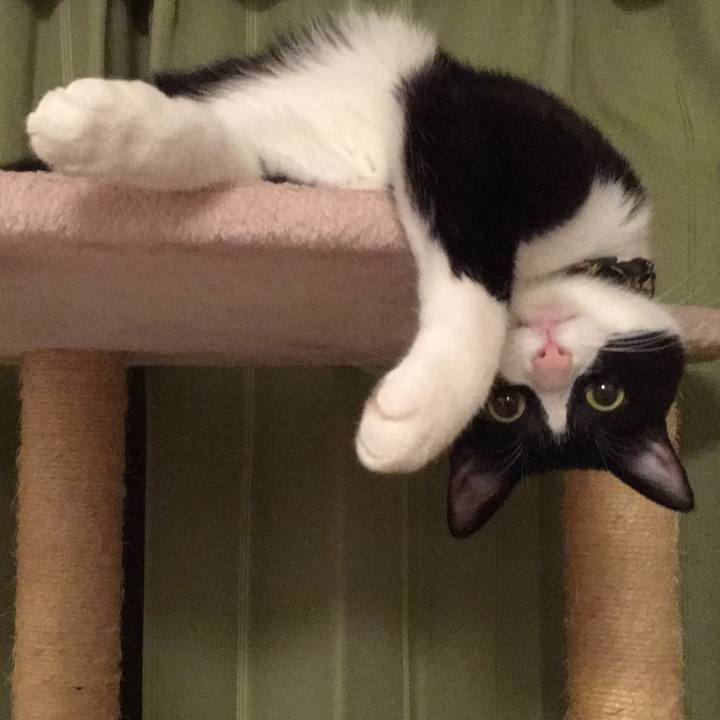 32ef51e7 a051 4746 bda7 5d35176f26f9