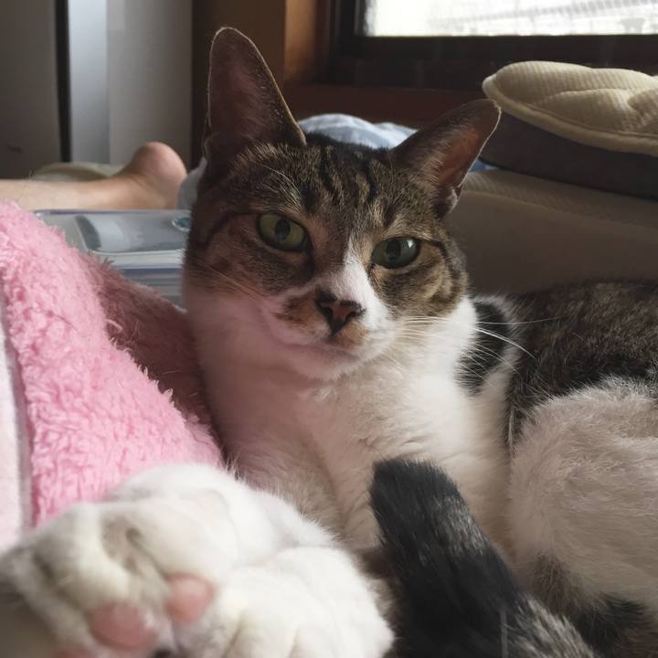 32ef551a 4552 413c 9b19 fe0033bf05e3