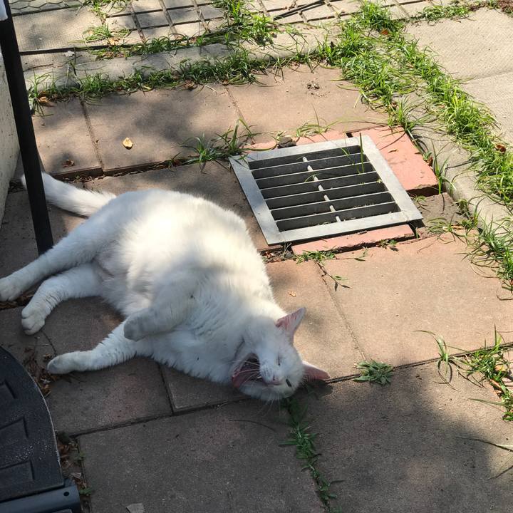 32ef9974 e20e 4b8f 8aee 02715774f5a5