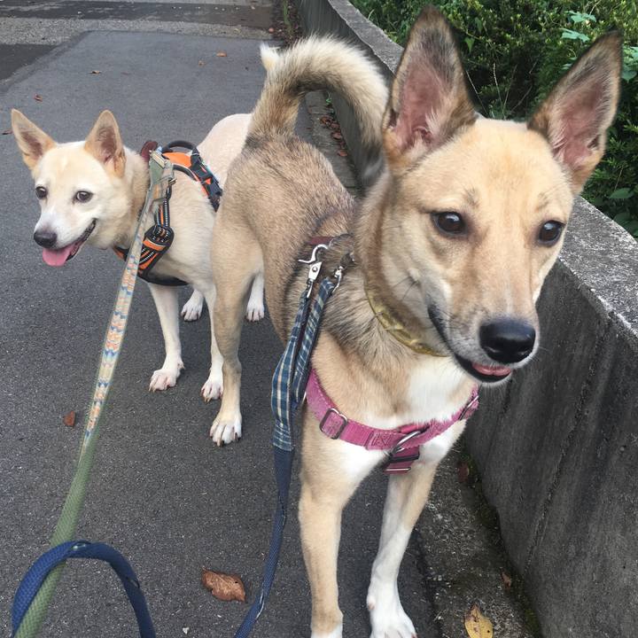 32ef9cb0 2797 4cde b976 329d249cdfd9