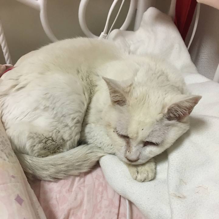 32efb6fd 8877 4e86 8f90 8d096b0a91eb