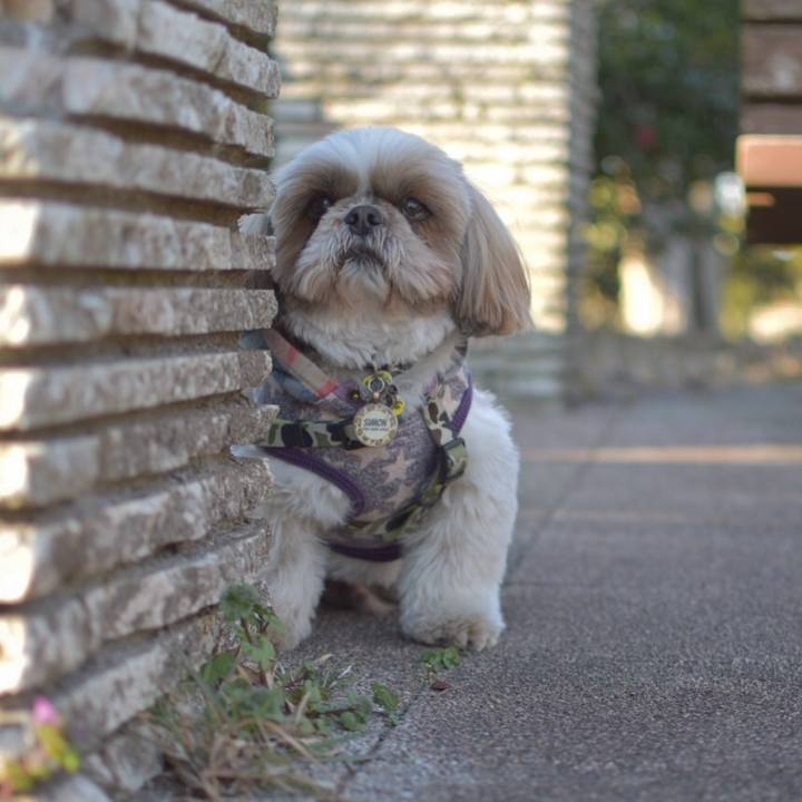 32efba38 aa04 4ee2 8ed9 ed04f45fc014